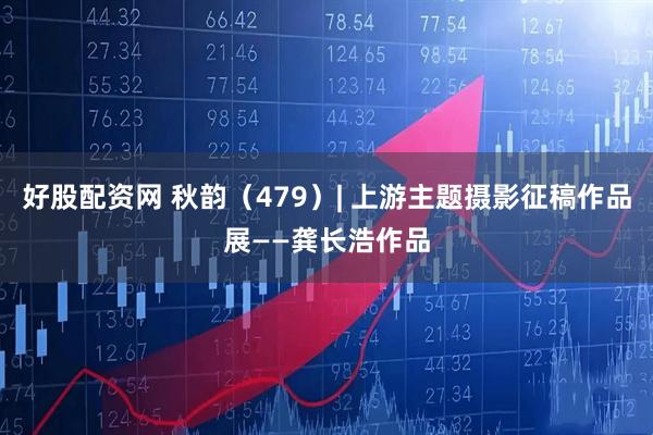 好股配资网 秋韵（479）| 上游主题摄影征稿作品展——龚长浩作品