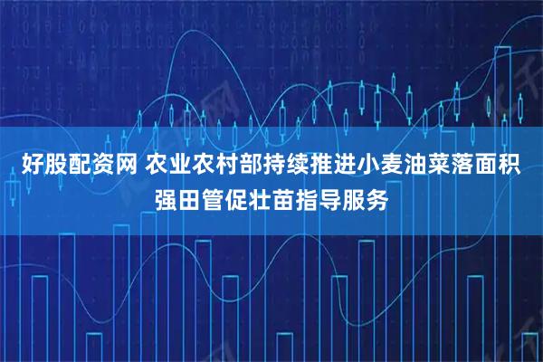 好股配资网 农业农村部持续推进小麦油菜落面积强田管促壮苗指导服务